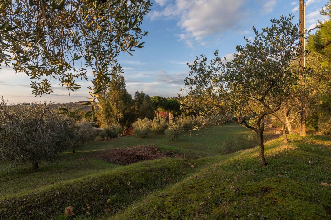 Se vende villa in zona tranquila Campiglia Marittima Toscana foto 26