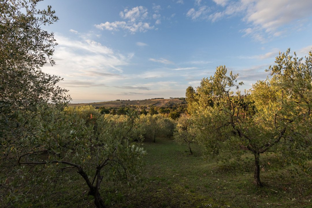 A vendre villa in zone tranquille Campiglia Marittima Toscana foto 27