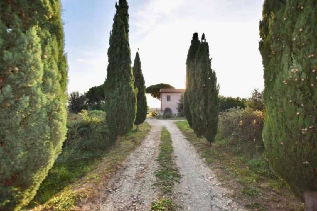 For sale villa by the sea Piombino Toscana foto 17