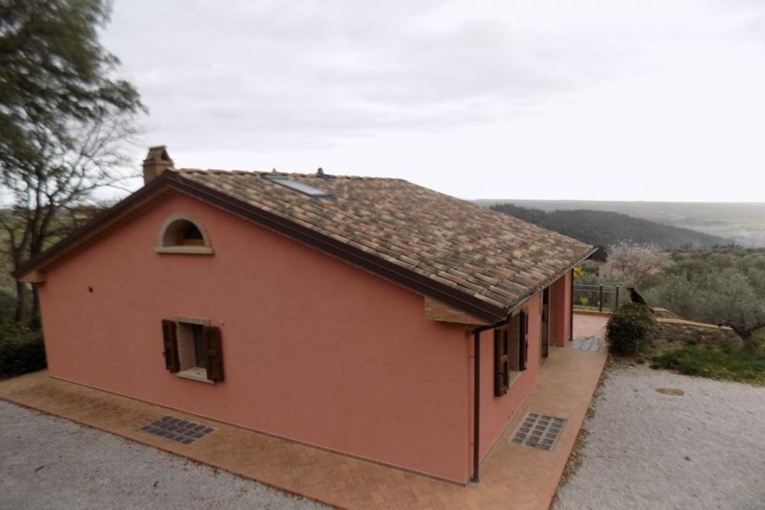 Se vende villa in zona tranquila Riparbella Toscana foto 37