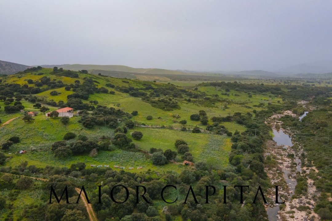 A vendre terre in zone tranquille Berchidda Sardegna foto 20