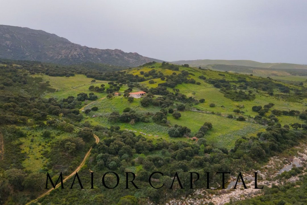 A vendre terre in zone tranquille Berchidda Sardegna foto 23