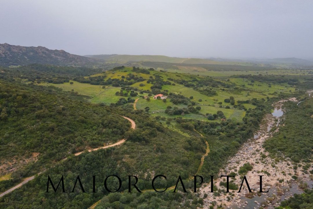 A vendre terre in zone tranquille Berchidda Sardegna foto 22