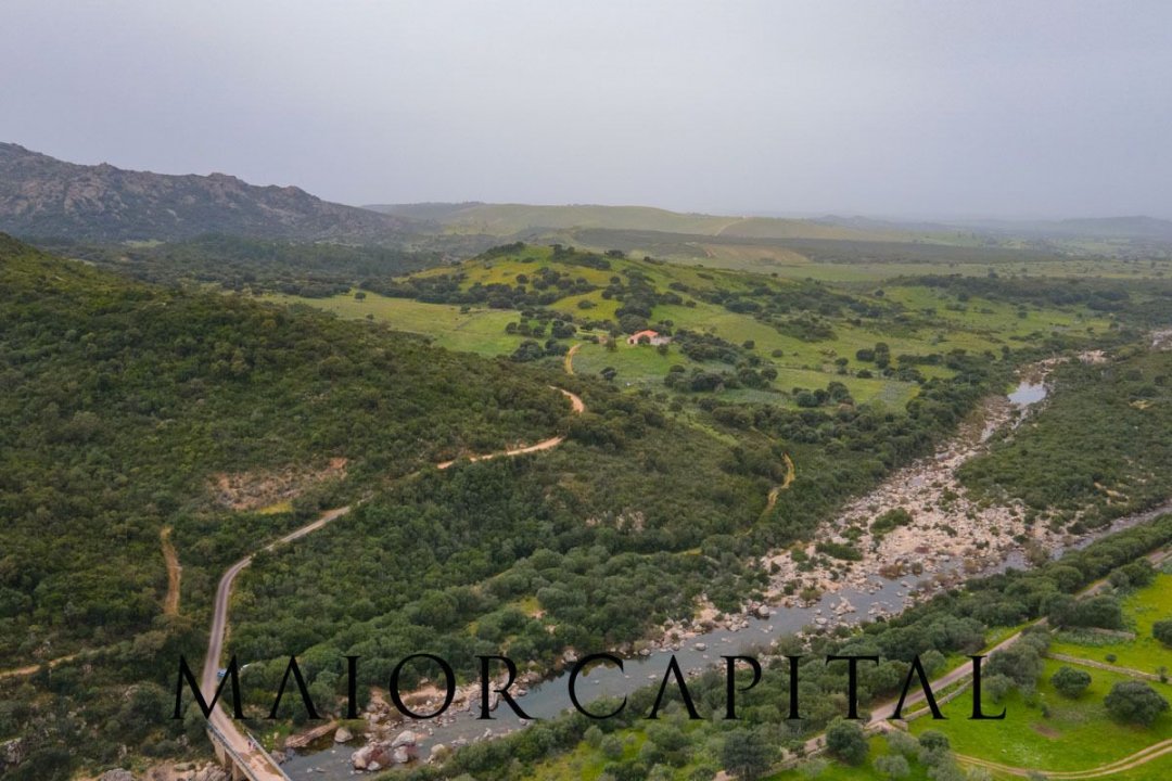A vendre terre in zone tranquille Berchidda Sardegna foto 24