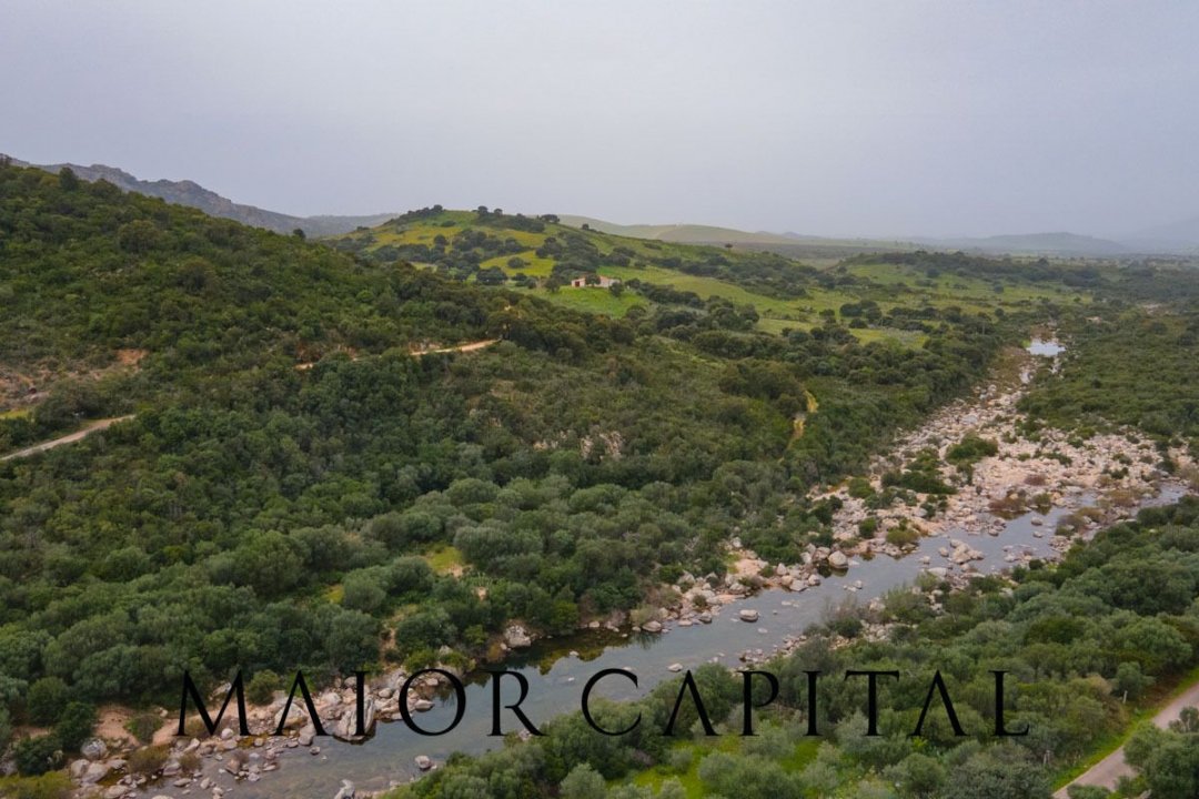 A vendre terre in zone tranquille Berchidda Sardegna foto 27