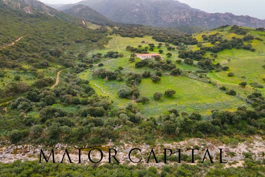 Se vende terreno in zona tranquila Berchidda Sardegna foto 10