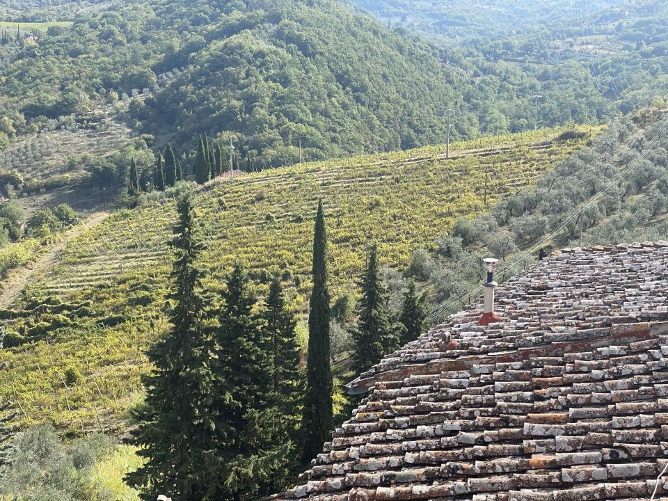For sale villa in quiet zone Greve in Chianti Toscana foto 15