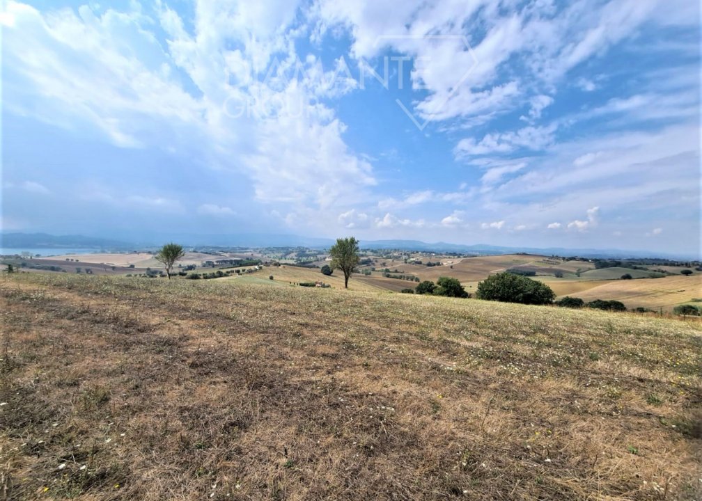 A vendre terre in zone tranquille Castiglione del Lago Umbria foto 3