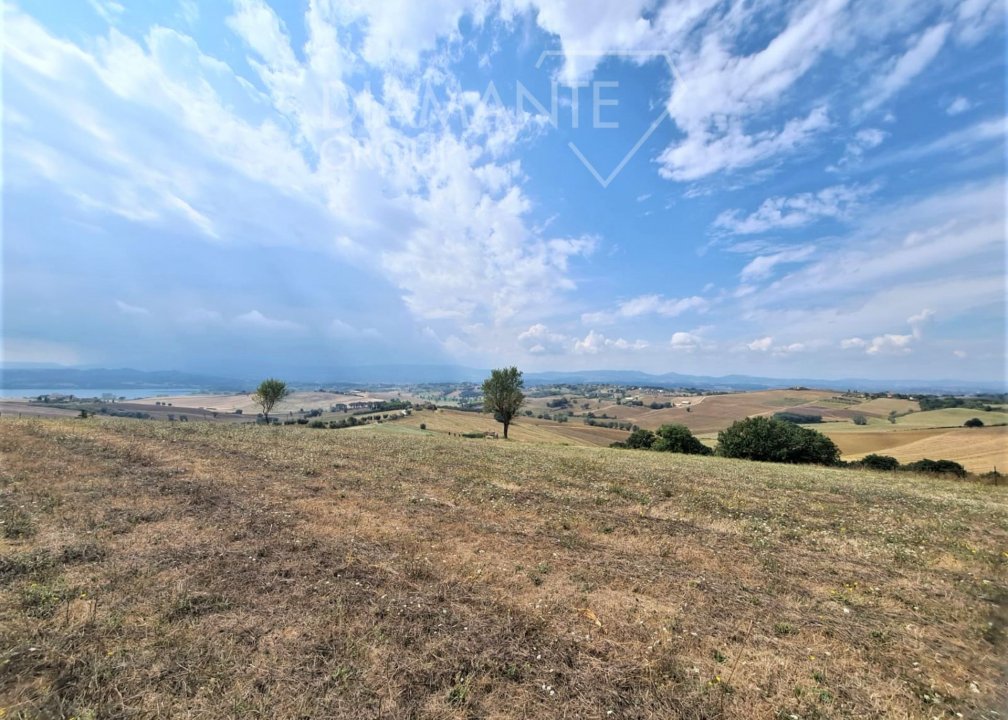 A vendre terre in zone tranquille Castiglione del Lago Umbria foto 5