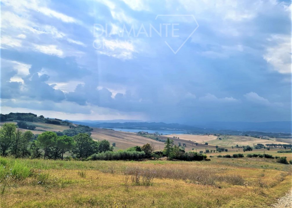 Para venda terreno in zona tranquila Castiglione del Lago Umbria foto 2
