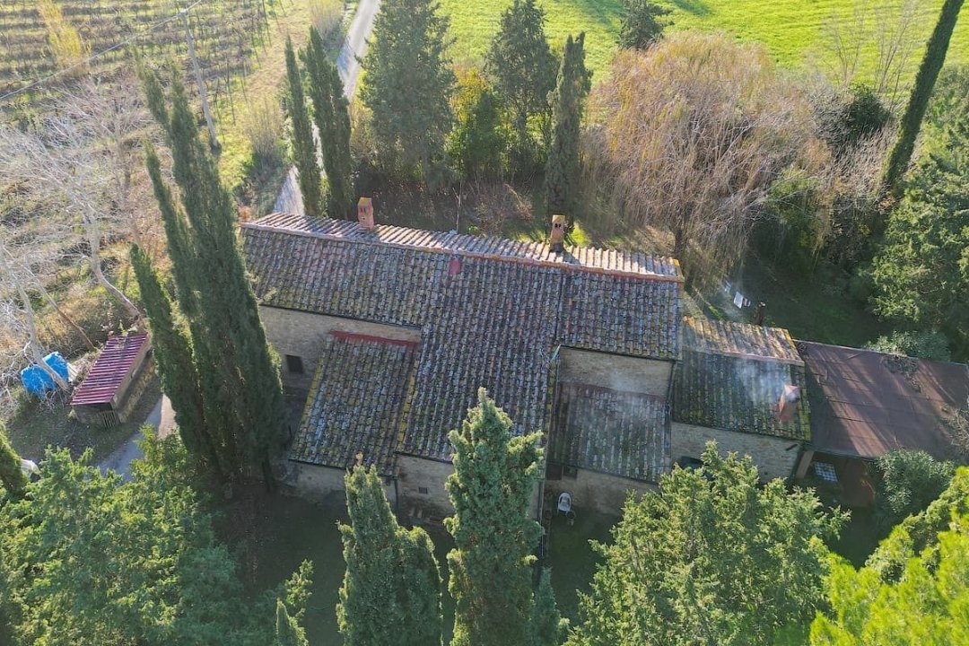 For sale cottage in quiet zone Montescudaio Toscana foto 8