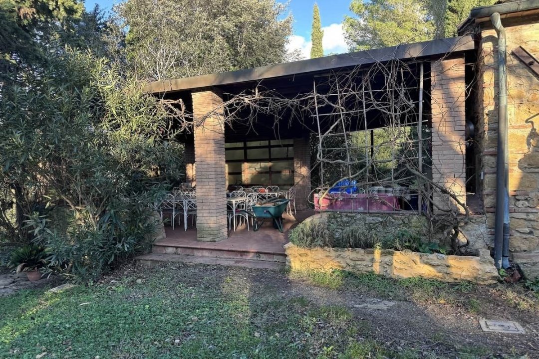 For sale cottage in quiet zone Montescudaio Toscana foto 20