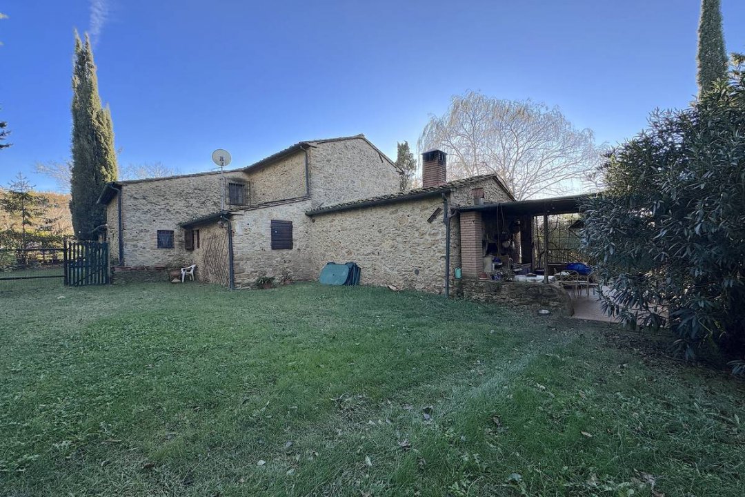 For sale cottage in quiet zone Montescudaio Toscana foto 22
