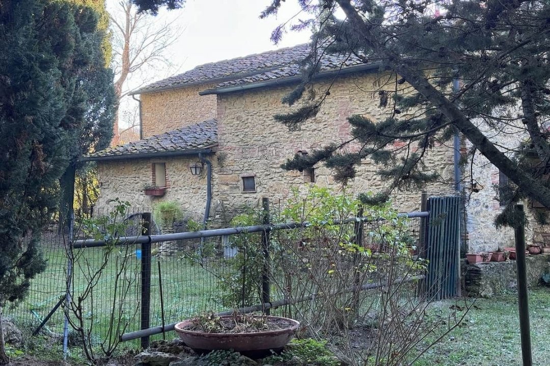For sale cottage in quiet zone Montescudaio Toscana foto 23
