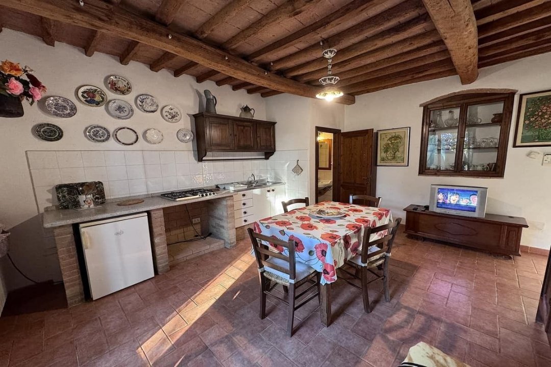 For sale cottage in quiet zone Montescudaio Toscana foto 27