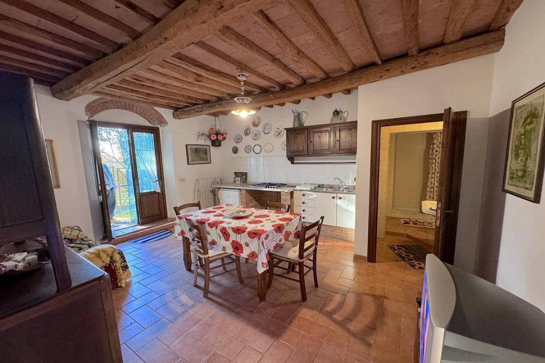 For sale cottage in quiet zone Montescudaio Toscana foto 29