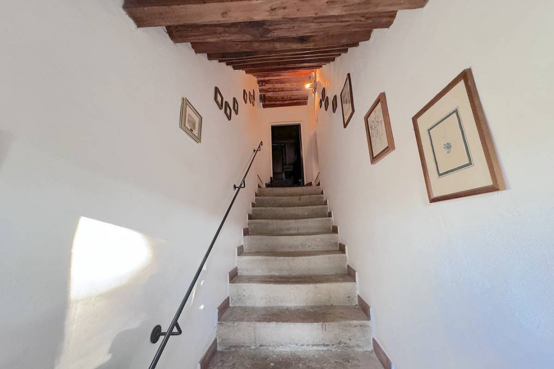For sale cottage in quiet zone Montescudaio Toscana foto 34