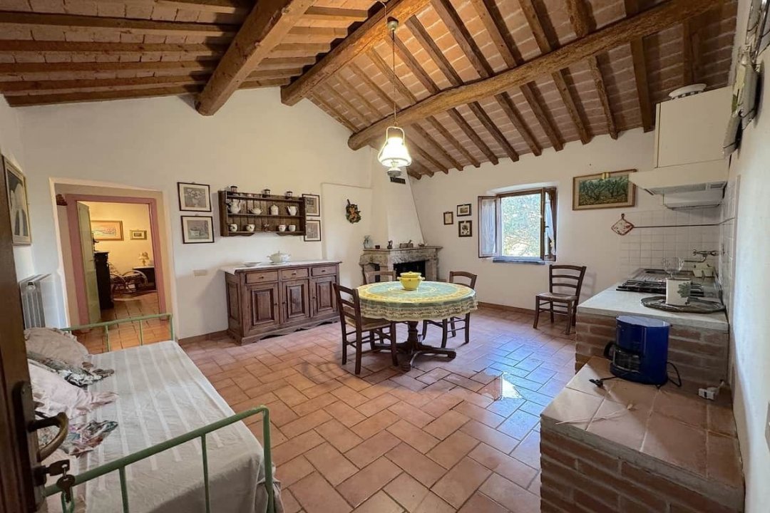 For sale cottage in quiet zone Montescudaio Toscana foto 35