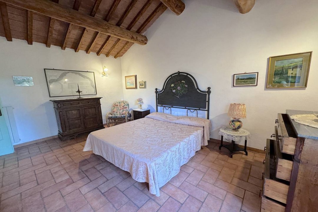 For sale cottage in quiet zone Montescudaio Toscana foto 39