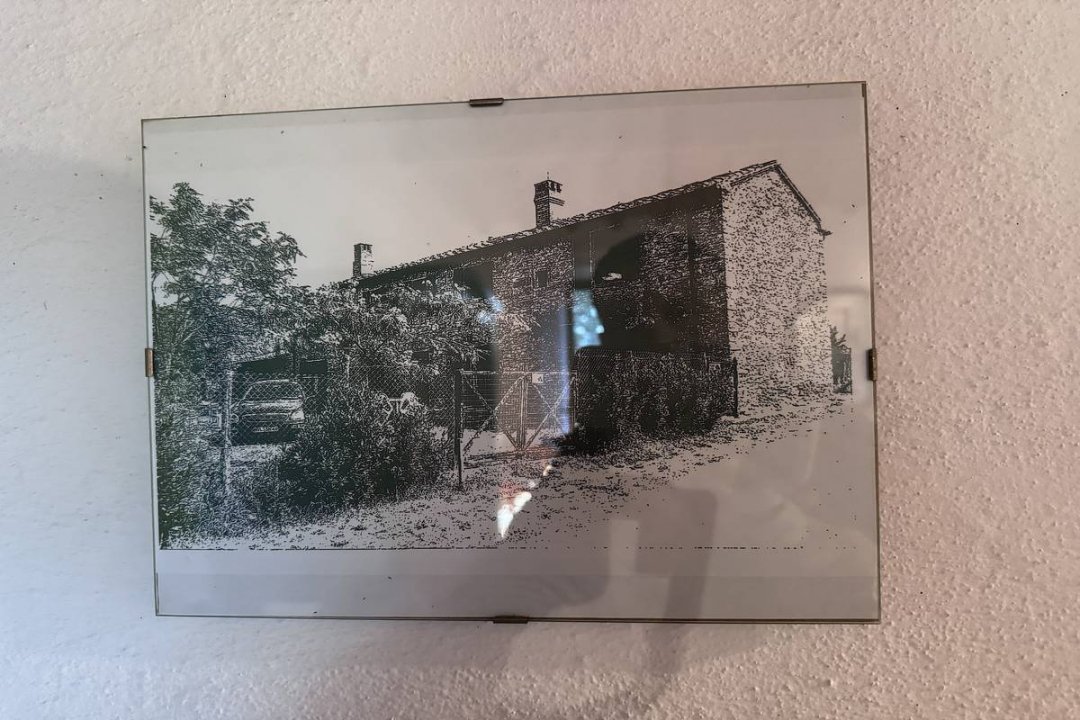 For sale cottage in quiet zone Montescudaio Toscana foto 40