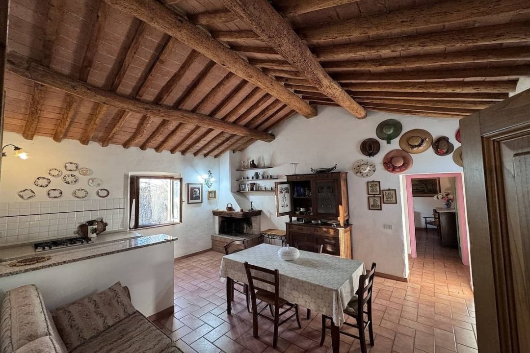 For sale cottage in quiet zone Montescudaio Toscana foto 41