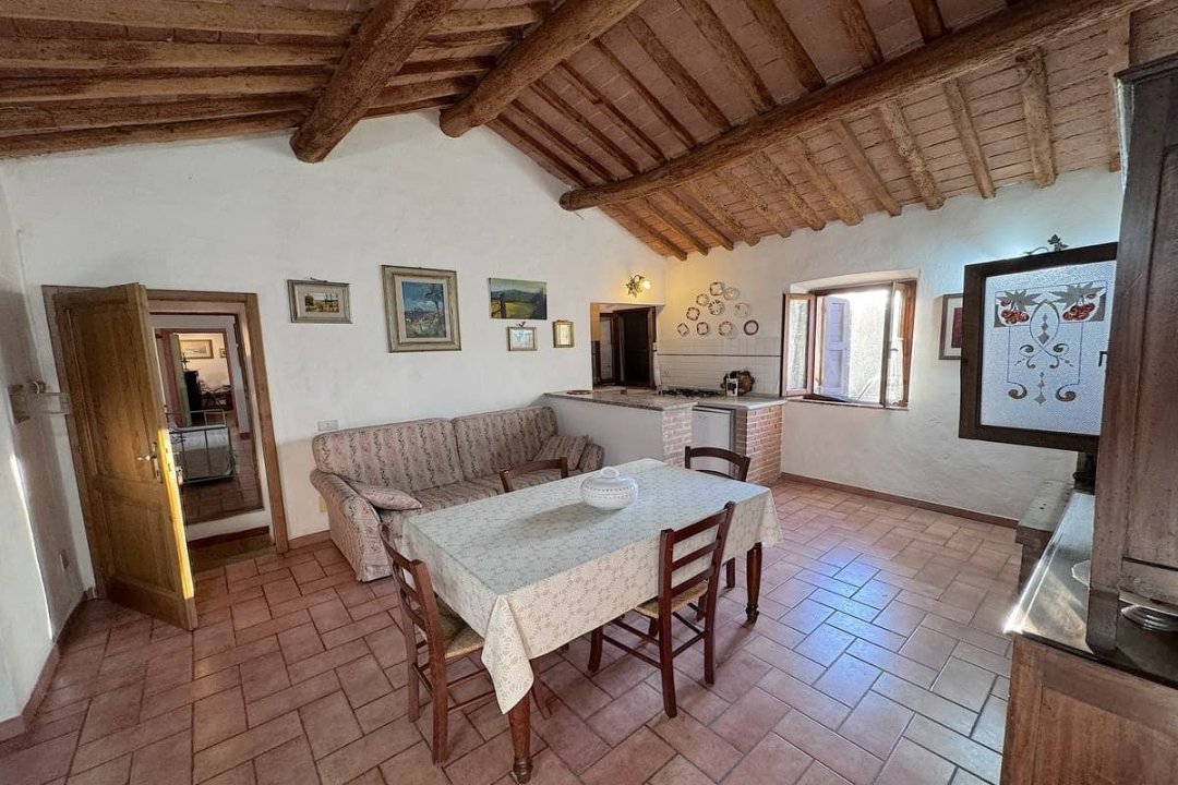 For sale cottage in quiet zone Montescudaio Toscana foto 42