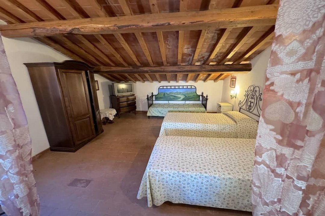 For sale cottage in quiet zone Montescudaio Toscana foto 44