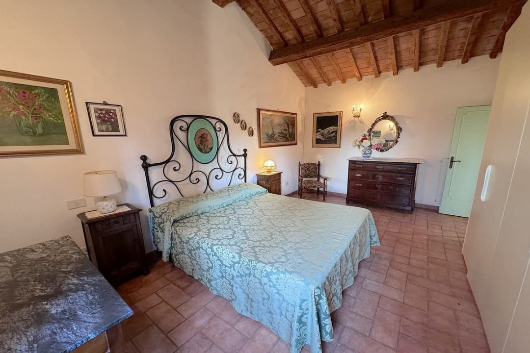 For sale cottage in quiet zone Montescudaio Toscana foto 46
