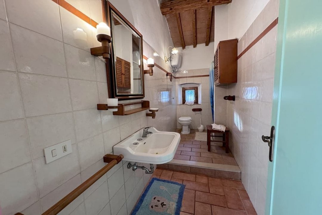 For sale cottage in quiet zone Montescudaio Toscana foto 47
