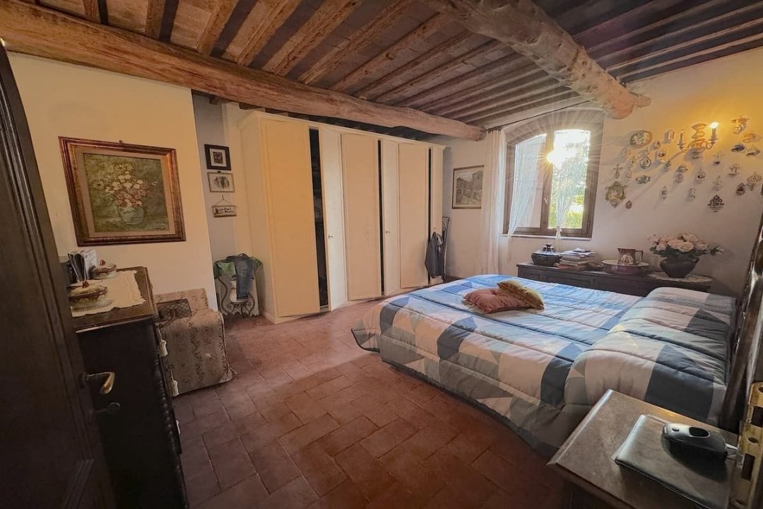 For sale cottage in quiet zone Montescudaio Toscana foto 49