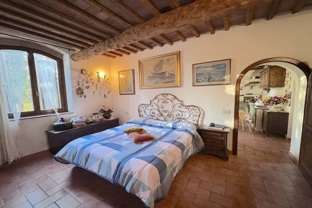 For sale cottage in quiet zone Montescudaio Toscana foto 50