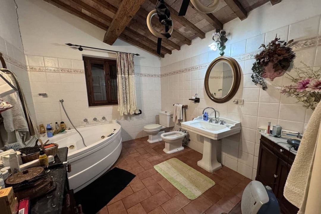 For sale cottage in quiet zone Montescudaio Toscana foto 51