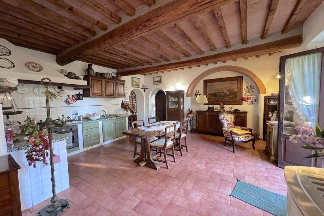 For sale cottage in quiet zone Montescudaio Toscana foto 52