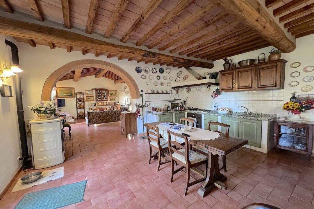 For sale cottage in quiet zone Montescudaio Toscana foto 54