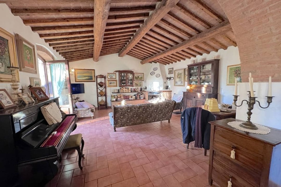 For sale cottage in quiet zone Montescudaio Toscana foto 55