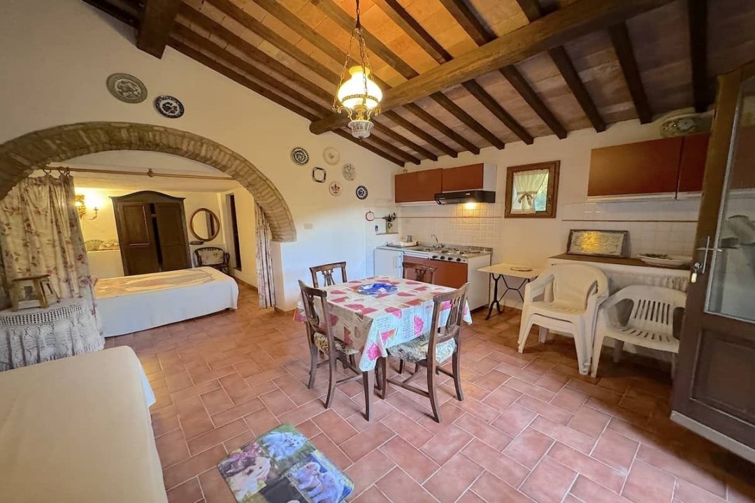 For sale cottage in quiet zone Montescudaio Toscana foto 64