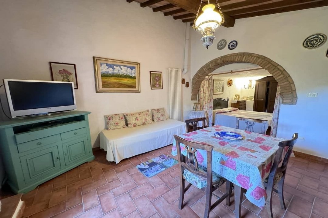 For sale cottage in quiet zone Montescudaio Toscana foto 65