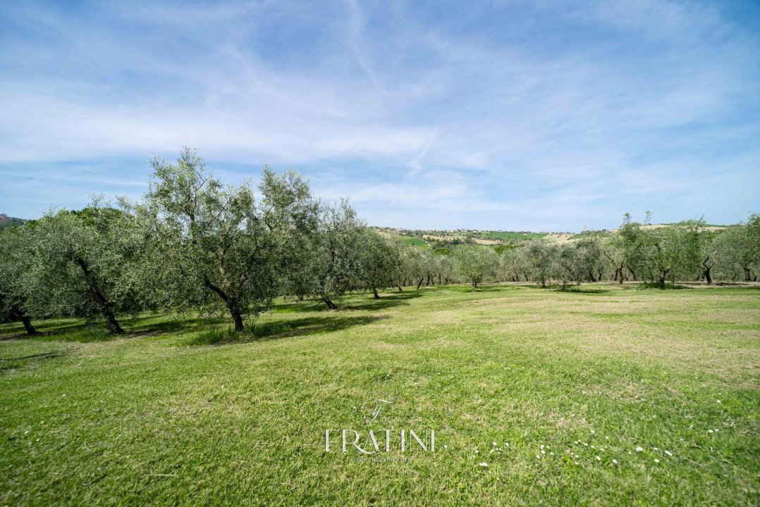 A vendre villa in zone tranquille Morrovalle Marche foto 30