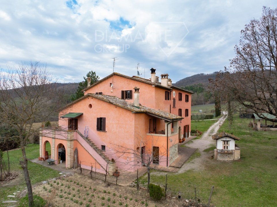 A vendre villa in zone tranquille Montone Umbria foto 1