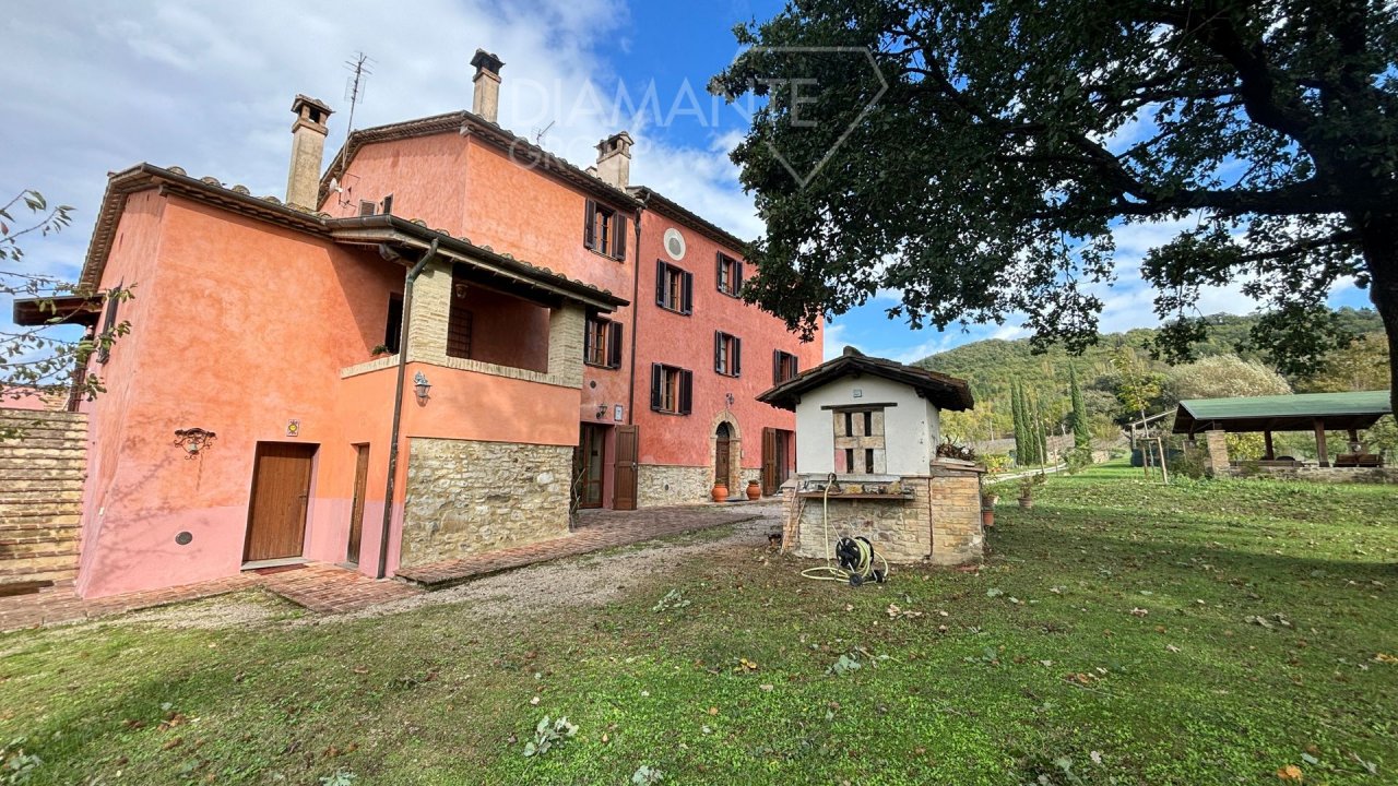A vendre villa in zone tranquille Montone Umbria foto 16