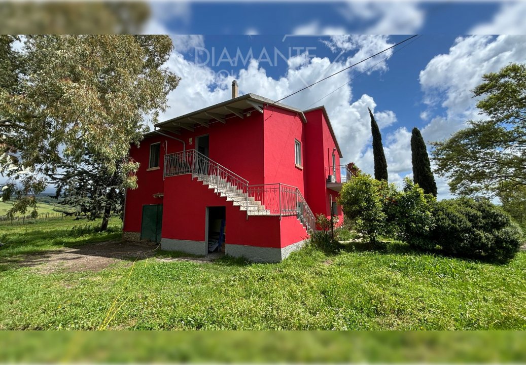 A vendre villa in zone tranquille Scansano Toscana foto 1