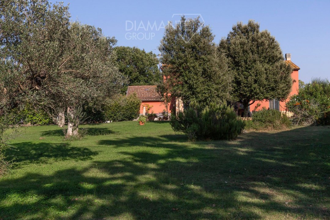 Zu verkaufen villa in ruhiges gebiet Gavorrano Toscana foto 2