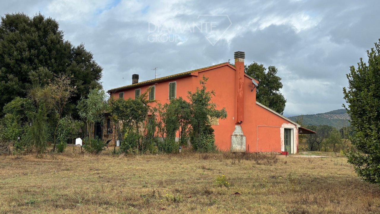 Zu verkaufen villa in ruhiges gebiet Gavorrano Toscana foto 1