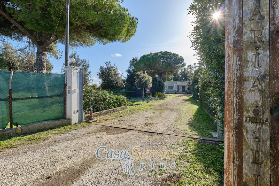 For sale real estate transaction in countryside Alezio Puglia foto 8