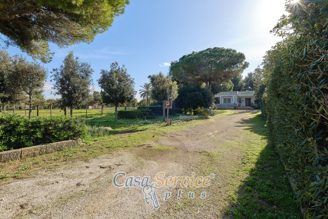 For sale real estate transaction in countryside Alezio Puglia foto 9