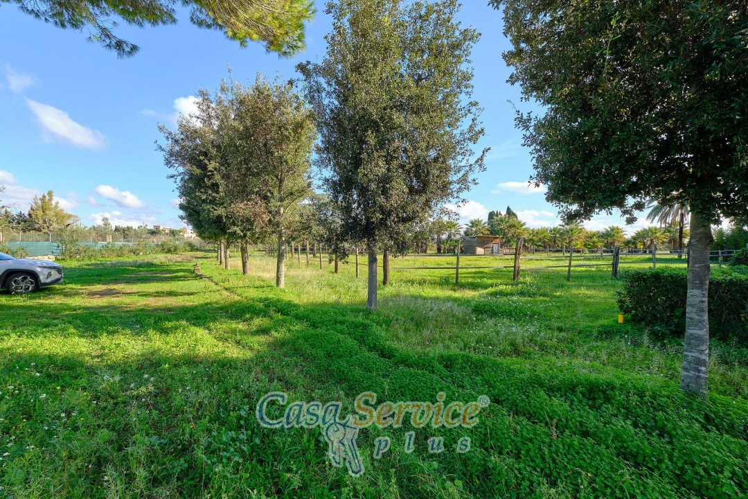 For sale real estate transaction in countryside Alezio Puglia foto 10