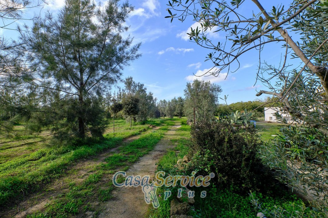 For sale real estate transaction in countryside Alezio Puglia foto 34