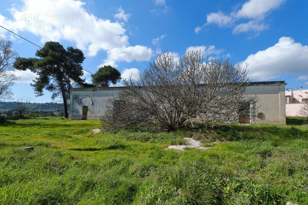 For sale mansion in countryside Specchia Puglia foto 4