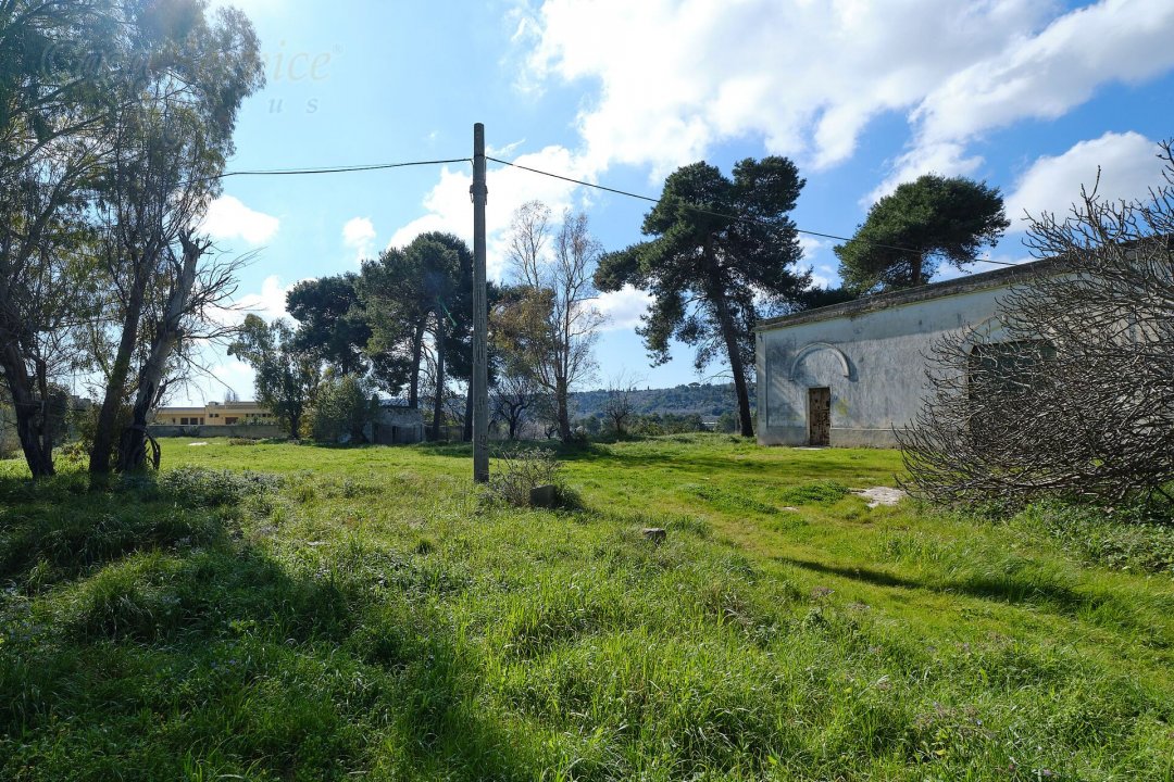 For sale mansion in countryside Specchia Puglia foto 5