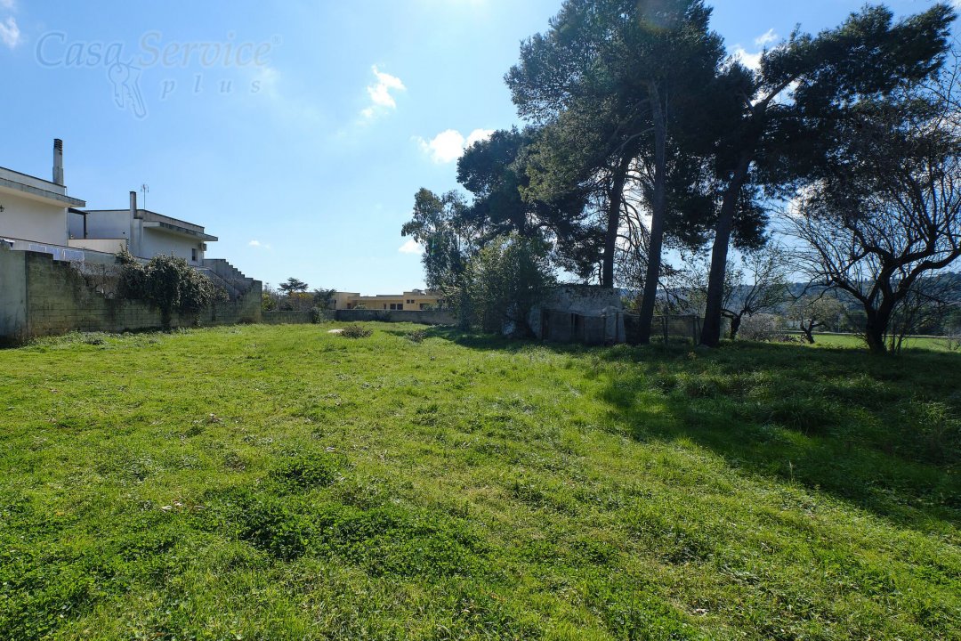 For sale mansion in countryside Specchia Puglia foto 8